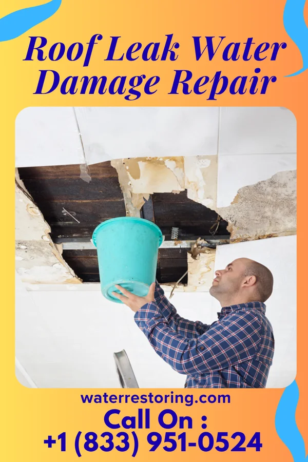 Roof Leak Water Damage Repair in North Augusta, SC