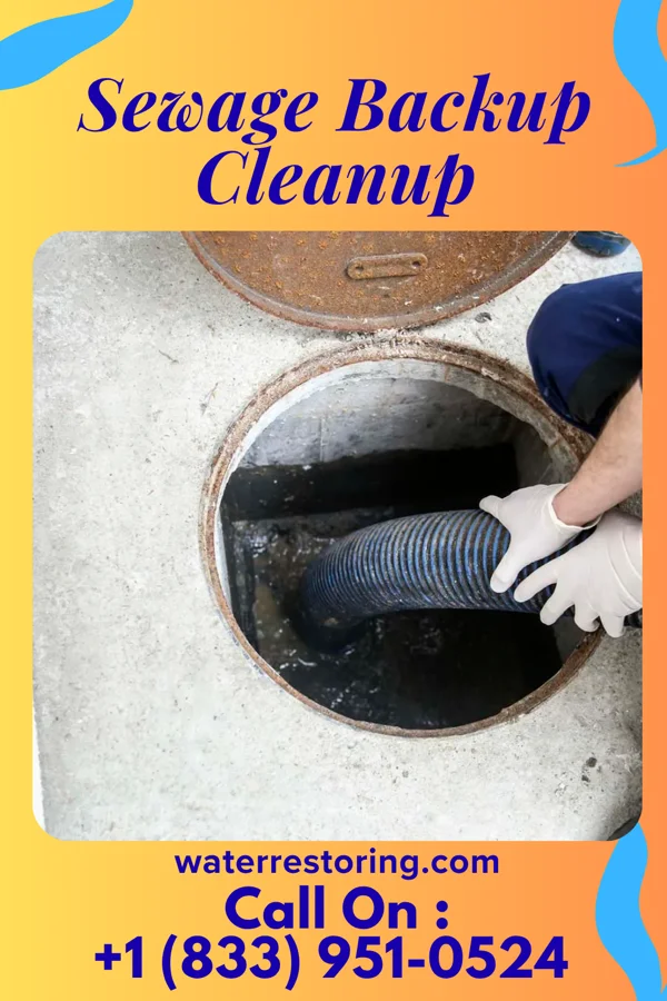 Sewage Backup Cleanup in North Augusta, SC