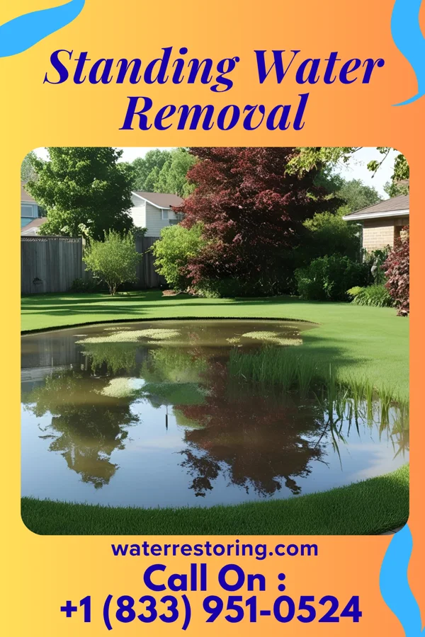 Standing Water Removal in North Augusta, SC